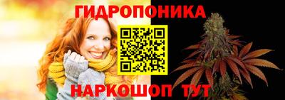 мяу мяу мука Аргун