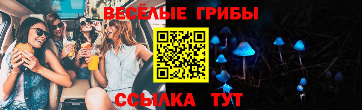 цены наркотик  Шарыпово  Псилоцибиновые грибы Cubensis 